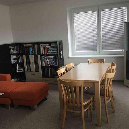 Family Apartment With Garden And Parking Spot 捷克布杰约维采 外观 照片