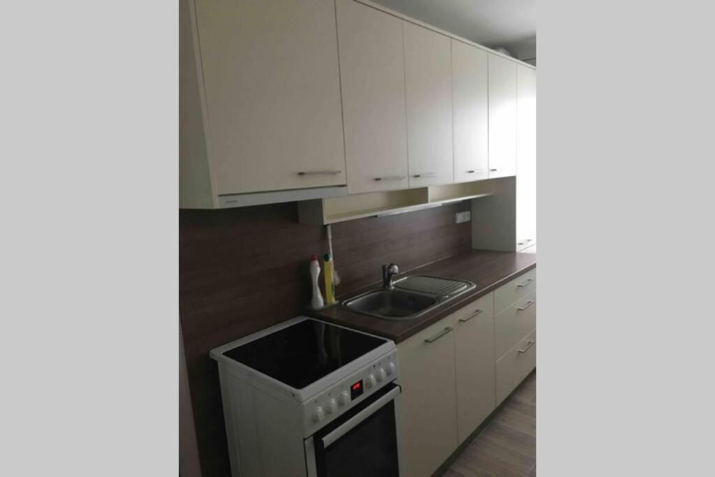 Family Apartment With Garden And Parking Spot 捷克布杰约维采 外观 照片